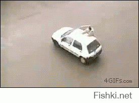 Собака друг человека