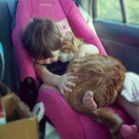 30 веселых фотографий с животными