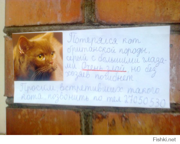 сфоткал перед Новым Годом