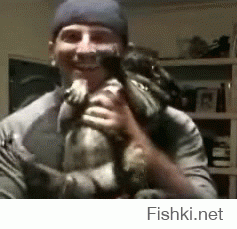 Гифки дня