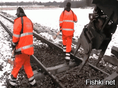 Гифки дня