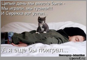 Спящие котейки