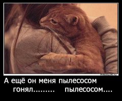 Отдохнем от политики и иностранщины... КотоПост!