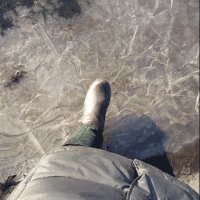 Гифки дня