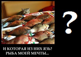 Пост просто юморам позитива!