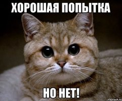 10 причин начать жить вместе