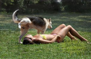 Фотобомбы и фотобомбочки с животными
