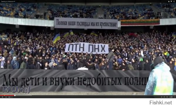Сильно они их