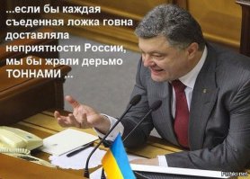 солянка политическая #8