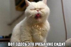 Ох уж эта учеба