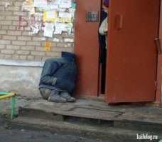 И все таки преданней их нету никого больше.