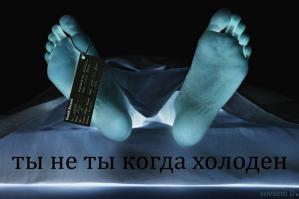 Фишкина солянка за 24.09.2014