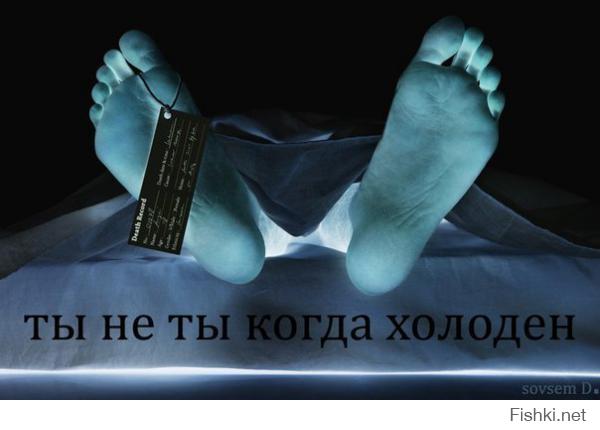 Фишкина солянка за 24.09.2014
