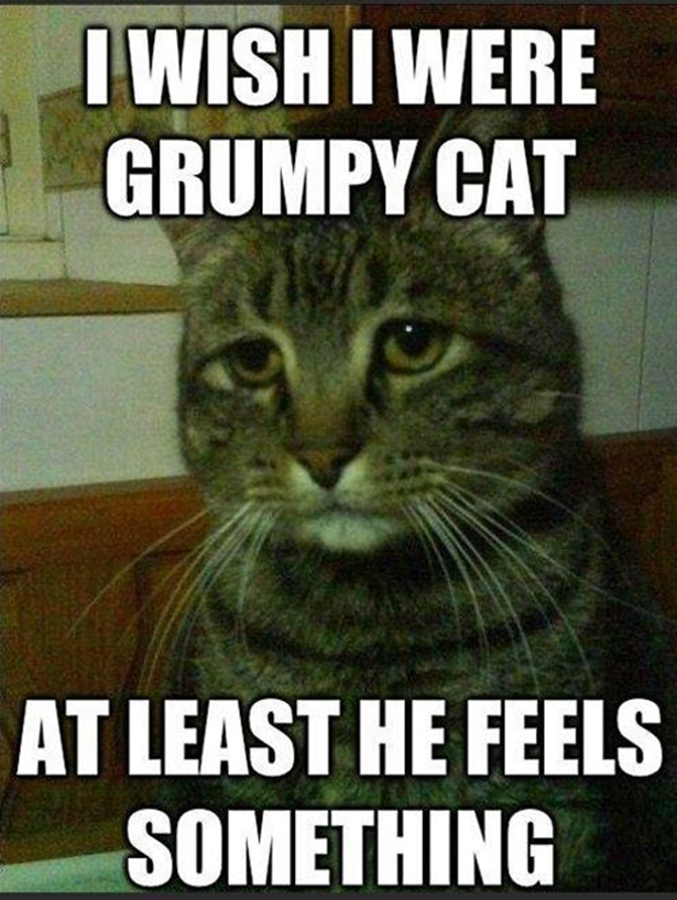 He felt something. Depression Cat. Depressed Cat meme. Depression Cat meme. Depressed funny pic.