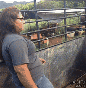 Top 33 GIFs From 2013 Top 33 GIFs From 2013