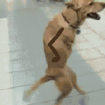 Top 33 GIFs From 2013 Top 33 GIFs From 2013