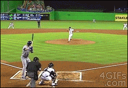 Top 33 GIFs From 2013 Top 33 GIFs From 2013