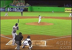 Top 33 GIFs From 2013