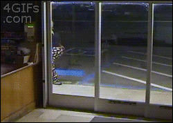 Top 33 GIFs From 2013 Top 33 GIFs From 2013