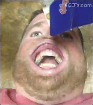 Top 33 GIFs From 2013 Top 33 GIFs From 2013