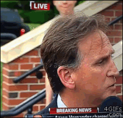 Top 33 GIFs From 2013 Top 33 GIFs From 2013