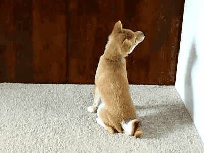 The laziest things ever The laziest things ever