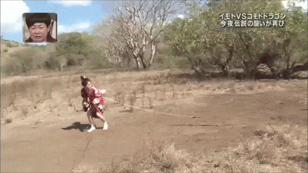 Funny monents from japanese TV shows. Funny monents from japanese TV shows.