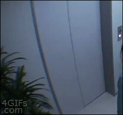 Funny monents from japanese TV shows. Funny monents from japanese TV shows.
