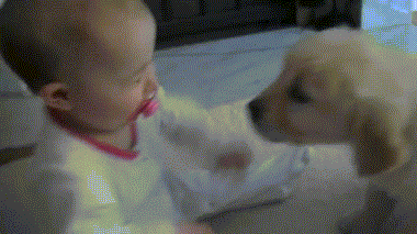 These funny children These funny children
