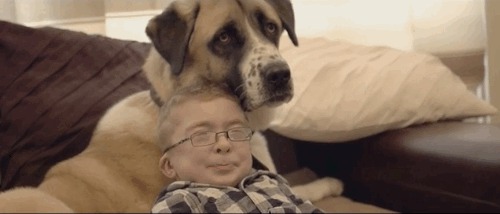 An ill boy and his dog
