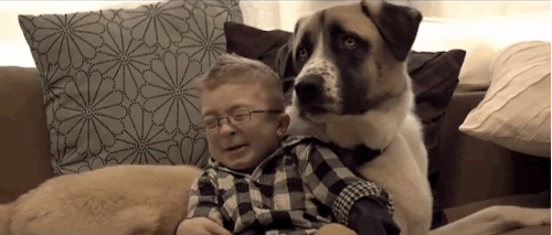 An ill boy and his dog An ill boy and his dog