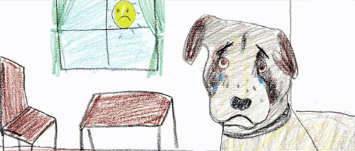 An ill boy and his dog An ill boy and his dog