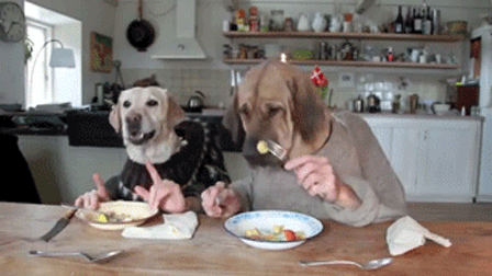 16 Reasons Your Relationship With Your Dog Is The Only One You Need 16 Reasons Your Relationship With Your Dog Is The Only One You Need