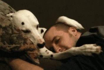 16 Reasons Your Relationship With Your Dog Is The Only One You Need
