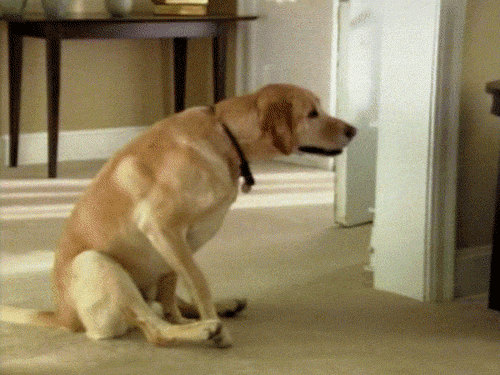16 Reasons Your Relationship With Your Dog Is The Only One You Need 16 Reasons Your Relationship With Your Dog Is The Only One You Need