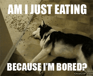 16 Reasons Your Relationship With Your Dog Is The Only One You Need 16 Reasons Your Relationship With Your Dog Is The Only One You Need