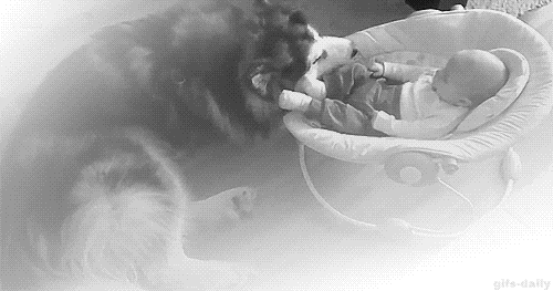 Dogs And Children Have A Special Bond Dogs And Children Have A Special Bond