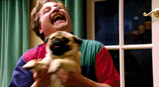 15 Signs Your Pet Is Absolutely Smarter Than You 15 Signs Your Pet Is Absolutely Smarter Than You