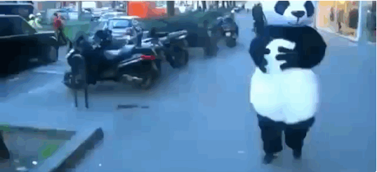 The Stages Of Tripping And Falling In Public The Stages Of Tripping And Falling In Public