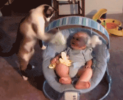 People Who Haven’t Quite Figured Out Parenting Yet People Who Haven’t Quite Figured Out Parenting Yet