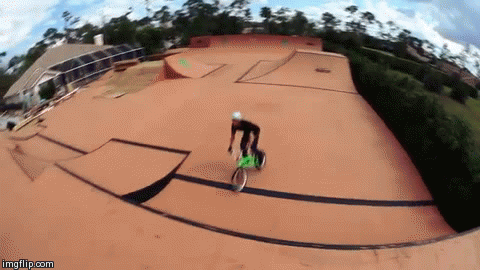 Amazing Backyards Amazing Backyards