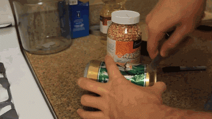 Genius or Stupid Genius or Stupid