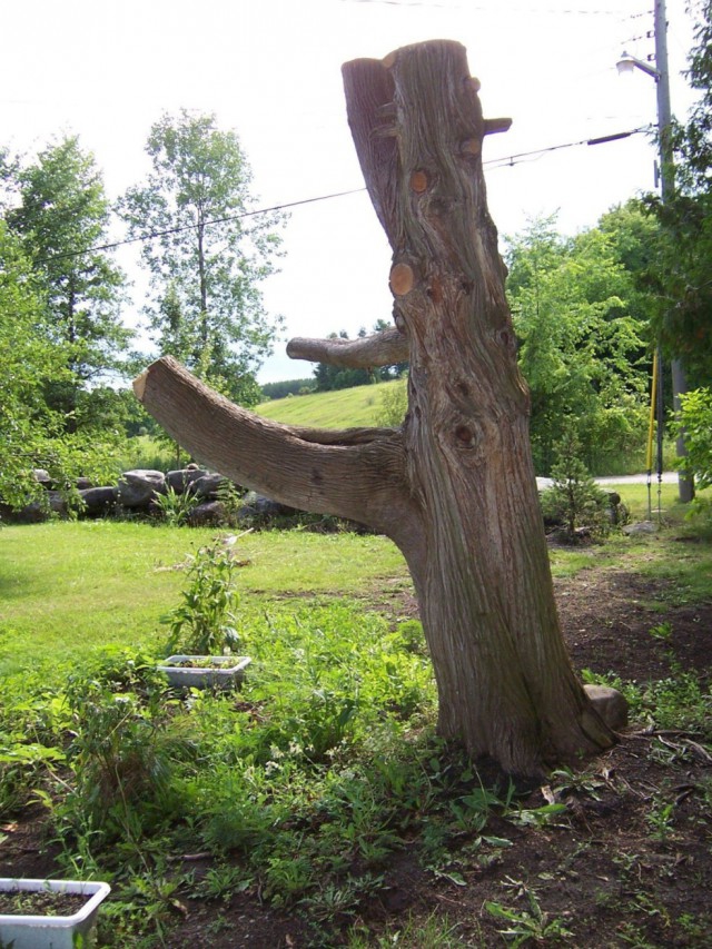 This Guy Found A Normal Tree Stump In His Yard And Made...