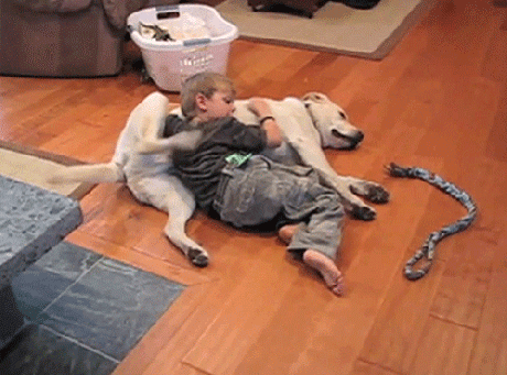 Here Are 19 Times People Had The Best Teamwork Here Are 19 Times People Had The Best Teamwork