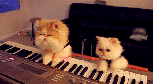 Here Are 19 Times People Had The Best Teamwork Here Are 19 Times People Had The Best Teamwork