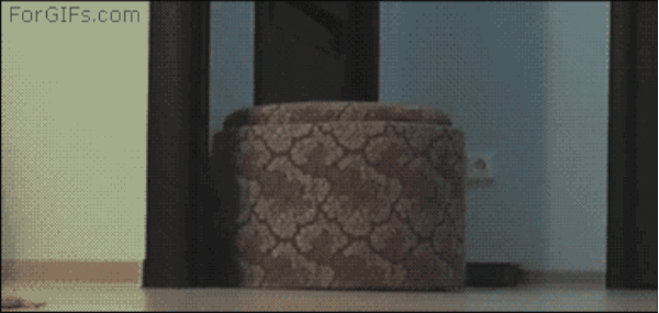 Here Are 19 Times People Had The Best Teamwork Here Are 19 Times People Had The Best Teamwork