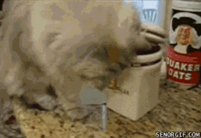 Here Are 19 Times People Had The Best Teamwork Here Are 19 Times People Had The Best Teamwork
