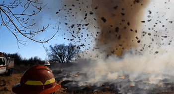 GIFs That Are Actually Worth Taking The Time To Watch GIFs That Are Actually Worth Taking The Time To Watch