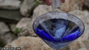 GIFs That Are Actually Worth Taking The Time To Watch GIFs That Are Actually Worth Taking The Time To Watch