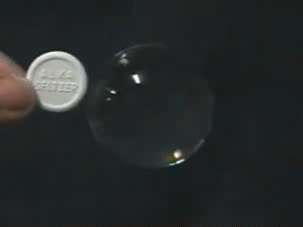GIFs That Are Actually Worth Taking The Time To Watch GIFs That Are Actually Worth Taking The Time To Watch